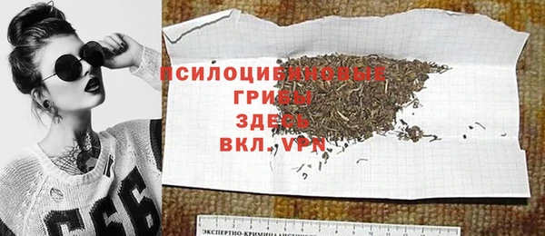 твердый Алзамай